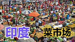 印度将從2022年7月起(qǐ)禁止部分一次(cì)性塑料制品